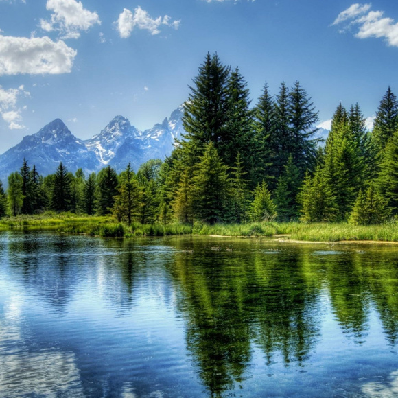 Meet your Posher, Mountain - Picture 2 of 8